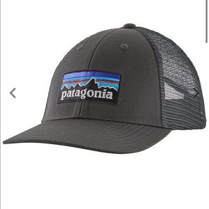 Patagonia Grey Hat
